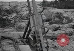 Image Conger Florida United States USA, 1945, de la seconde 50 séquences d'archives historiques vidéo 65675058865