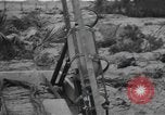 Image Conger Florida United States USA, 1945, de la seconde 51 séquences d'archives historiques vidéo 65675058865