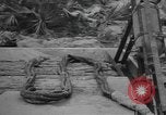 Image Conger Florida United States USA, 1945, de la seconde 52 séquences d'archives historiques vidéo 65675058865