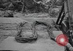 Image Conger Florida United States USA, 1945, de la seconde 53 séquences d'archives historiques vidéo 65675058865