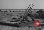 Image Conger Florida United States USA, 1945, de la seconde 54 séquences d'archives historiques vidéo 65675058865