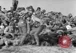 Image Centre de formation d'assaut Crow Point Devon Angleterre, 1943, de la seconde 25 séquences d'archives historiques vidéo 65675058866