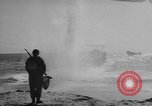 Image of amphibious training Florida United States USA, 1943, second 27 stock footage video 65675058873