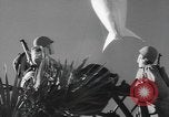 Image of amphibious training Florida United States USA, 1943, second 40 stock footage video 65675058873