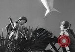 Image of amphibious training Florida United States USA, 1943, second 41 stock footage video 65675058873