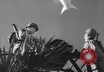 Image of amphibious training Florida United States USA, 1943, second 42 stock footage video 65675058873
