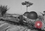 Image of amphibious training Florida United States USA, 1943, second 54 stock footage video 65675058873