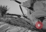 Image of amphibious training Florida United States USA, 1943, second 56 stock footage video 65675058873