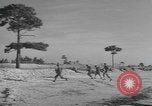 Image of amphibious training Florida United States USA, 1943, second 60 stock footage video 65675058873