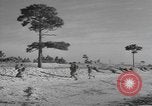 Image of amphibious training Florida United States USA, 1943, second 61 stock footage video 65675058873