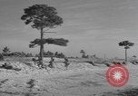 Image of amphibious training Florida United States USA, 1943, second 62 stock footage video 65675058873