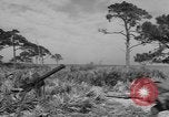 Immagine di Stati Uniti truppe Florida United States USA, 1943, secondo 4 filmato di repertorio 65675058874