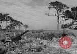 Immagine di Stati Uniti truppe Florida United States USA, 1943, secondo 5 filmato di repertorio 65675058874