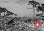 Immagine di Stati Uniti truppe Florida United States USA, 1943, secondo 6 filmato di repertorio 65675058874