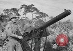 Immagine di Stati Uniti truppe Florida United States USA, 1943, secondo 10 filmato di repertorio 65675058874
