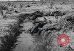 Immagine di Stati Uniti truppe Florida United States USA, 1943, secondo 28 filmato di repertorio 65675058874
