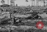 Immagine di Stati Uniti truppe Florida United States USA, 1943, secondo 33 filmato di repertorio 65675058874