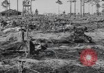 Immagine di Stati Uniti truppe Florida United States USA, 1943, secondo 34 filmato di repertorio 65675058874