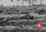 Immagine di Stati Uniti truppe Florida United States USA, 1943, secondo 37 filmato di repertorio 65675058874