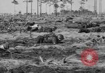 Immagine di Stati Uniti truppe Florida United States USA, 1943, secondo 38 filmato di repertorio 65675058874