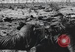 Immagine di Stati Uniti truppe Florida United States USA, 1943, secondo 43 filmato di repertorio 65675058874