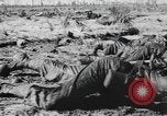 Immagine di Stati Uniti truppe Florida United States USA, 1943, secondo 44 filmato di repertorio 65675058874