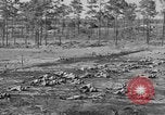 Immagine di Stati Uniti truppe Florida United States USA, 1943, secondo 47 filmato di repertorio 65675058874