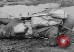 Immagine di Stati Uniti truppe Florida United States USA, 1943, secondo 52 filmato di repertorio 65675058874