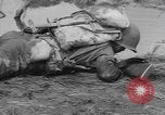 Immagine di Stati Uniti truppe Florida United States USA, 1943, secondo 55 filmato di repertorio 65675058874