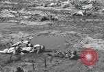 Immagine di Stati Uniti truppe Florida United States USA, 1943, secondo 62 filmato di repertorio 65675058874