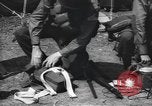 Image 505Th Parachute Infantry Regiment Grantham Angleterre, 1944, de la seconde 9 séquences d'archives historiques vidéo 65675058875