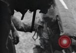Image 502e Régiment d'infanterie de parachutistes la 101e Division aéroportée l'Angleterre, 1944, de la seconde 30 séquences d'archives historiques vidéo 65675058878