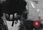 Image 502e Régiment d'infanterie de parachutistes la 101e Division aéroportée l'Angleterre, 1944, de la seconde 31 séquences d'archives historiques vidéo 65675058878