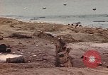 Standbild Army Sergeant Normandie Frankreich, 1944, aus Sekunde 52 historischem Filmmaterial Videoclip 65675058893