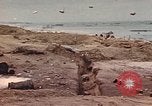 Standbild Army Sergeant Normandie Frankreich, 1944, aus Sekunde 54 historischem Filmmaterial Videoclip 65675058893
