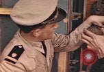 Immagine di Le guardie costiere officer Normandia Francia, 1944, secondo 9 filmato di repertorio 65675058895