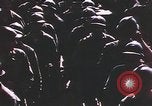 Immagine di Libera le truppe francesi Algeria, 1942, secondo 11 filmato di repertorio 65675058904