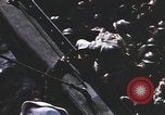 Immagine di Libera le truppe francesi Algeria, 1942, secondo 50 filmato di repertorio 65675058904