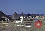Standbild US Army Biwak in Italien während Zweiten Weltkrieg Maragliana Italien, 1944, aus Sekunde 12 historischem Filmmaterial Videoclip 65675058909