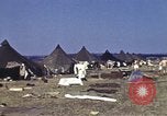 Standbild US Army Biwak in Italien während Zweiten Weltkrieg Maragliana Italien, 1944, aus Sekunde 13 historischem Filmmaterial Videoclip 65675058909
