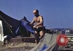 Standbild US Army Biwak in Italien während Zweiten Weltkrieg Maragliana Italien, 1944, aus Sekunde 17 historischem Filmmaterial Videoclip 65675058909