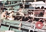 Standbild amerikanische Soldaten Pazifik, 1945, aus Sekunde 47 historischem Filmmaterial Videoclip 65675058919