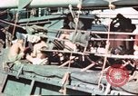 Standbild amerikanische Soldaten Pazifik, 1945, aus Sekunde 57 historischem Filmmaterial Videoclip 65675058919