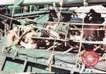 Standbild amerikanische Soldaten Pazifik, 1945, aus Sekunde 58 historischem Filmmaterial Videoclip 65675058919