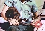 Standbild amerikanische Soldaten Pazifik, 1945, aus Sekunde 5 historischem Filmmaterial Videoclip 65675058922