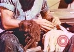 Standbild amerikanische Soldaten Pazifik, 1945, aus Sekunde 12 historischem Filmmaterial Videoclip 65675058922