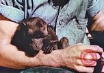 Standbild amerikanische Soldaten Pazifik, 1945, aus Sekunde 54 historischem Filmmaterial Videoclip 65675058922