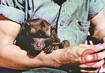 Standbild amerikanische Soldaten Pazifik, 1945, aus Sekunde 60 historischem Filmmaterial Videoclip 65675058922
