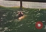 Image of American soldiers Manila Philippines, 1945, second 39 stock footage video 65675058929