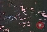 Immagine di Civili filippini Manila Filippine, 1945, secondo 41 filmato di repertorio 65675058930